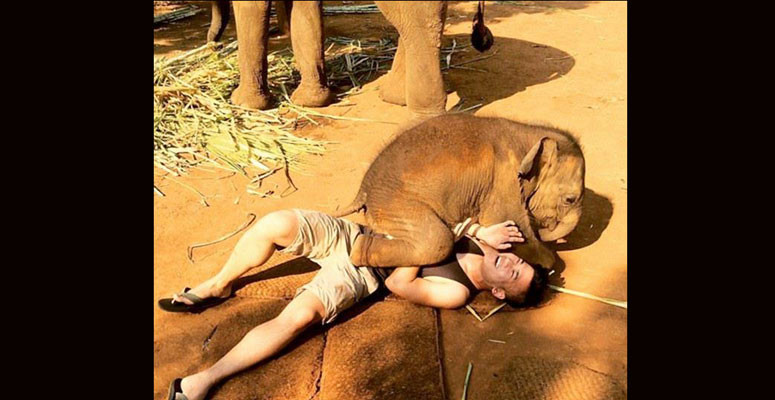  এখন ওর ওজন ৬৭ কেজি। সাধারণত, হস্তীশাবকের ওজন ৯৯ কেজির বেশিই হয়। নংপুর ওজন কম হলে কী হবে, ওর দুষ্টুমি কিন্তু কম নয়।