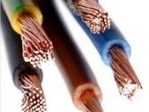 পুলিশের গুলি, হাই টেনশন তার ছিঁড়ে পড়ে মৃত ১১ অসমে