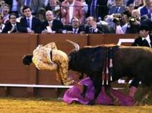 ভিডিওতে দেখুন স্পেনে ষাঁড়ের লড়াই চলাকালে কীভাবে আহত হলেন এক ব্যক্তি