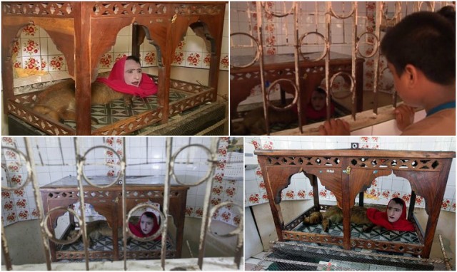  মাথা মানুষের, শরীর শিয়ালের! 