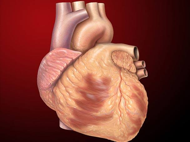 Meet The Baby Who Miraculously Survived 12 Hour Surgery 6 Heart Attacks ১২ ঘন্টার অস্ত্রোপচার, ছয়বার হার্ট অ্যাটাক, তারপরও বেঁচে গেল চার মাসের শিশু