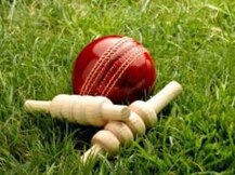 কাশ্মীরে জঙ্গিদের নামে ক্রিকেট দল!