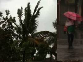 Norwester Rains Lash Bengal Districts জেলায় জেলায় স্বস্তির কালবৈশাখী, কলকাতায় অস্বস্তির পূর্বাভাস