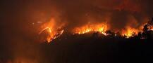 Odisha: Simlipal Forest Fire Brought Under Control After A Week; Everything You Need To Know
