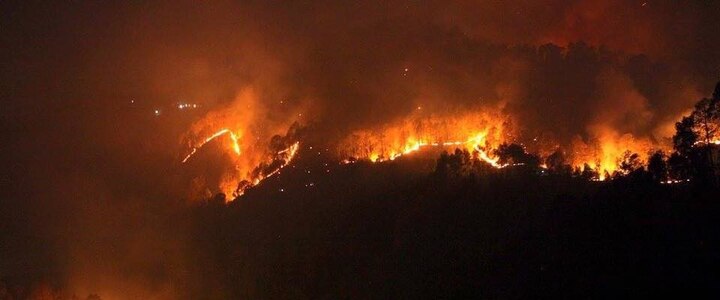 Odisha: Simlipal Forest Fire Brought Under Control After A Week; Everything You Need To Know