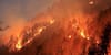 Rains May Have Scaled Down Uttarakhand Forest Fires