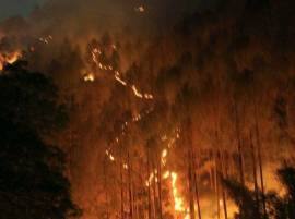 District Authorities On Alert After Forest Fire Near School হিমাচল প্রদেশে স্কুলের কাছে জঙ্গলে আগুন, সতর্ক প্রশাসন