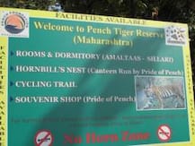 সাফারির জন্য কাটা পড়ছে মোঙ্গলির নিজের জঙ্গল!