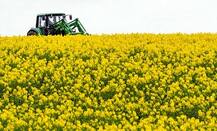 ছবিতে একটুকরো ভুবন