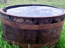 তিনমাসের অসুস্থ নাতনিকে জলের গামলায় ডুবিয়ে হত্যা ঠাকুমার!