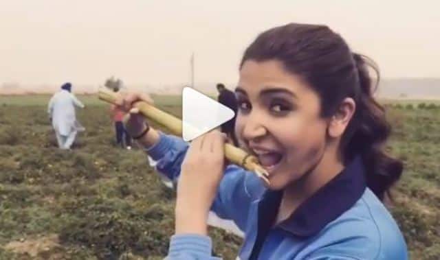 সুলতান-এর পরিচালক আলি আব্বাস জাফরও সোশ্যাল মিডিয়ায় সলমন-অনুষ্কার খেতে ঘোরার ভিডিও শেয়ার করেছেন