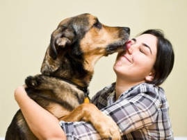 Dogs Heart Beats In Sync With Its Owner Study মালিক ও পোষ্য কাছাকাছি এলে বেড়ে যায় উভয়েরই হৃৎস্পন্দন!