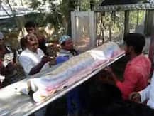 বাসন্তীতে ৯ বছরের শিশুকে ধর্ষণ করে খুনের অভিযোগ, আটক প্রতিবেশী যুবক ও তার বাবা