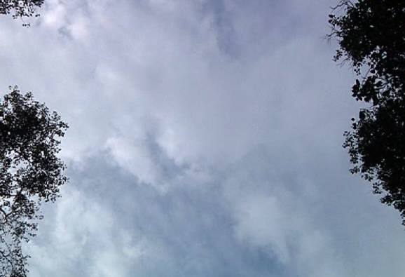 Today Temperature Will Remain High But Cloudy Sky Will Control The Humidity গরম থাকলেও, সকাল থেকে শহরের আকাশ মেঘলা থাকায়, তাপমাত্রা অসহনীয় হবে না