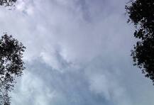 গরম থাকলেও, সকাল থেকে শহরের আকাশ মেঘলা থাকায়, তাপমাত্রা অসহনীয় হবে না