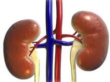 যুবকের প্রাণ বাঁচাতে কিডনি দান বিশপের