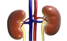 পুনের হাসপাতালে ভর্তি অসুস্থ সন্তানের কিডনি কেটে নেওয়া হয়েছে, অভিযোগ বাবা মায়ের, হাসপাতাল বলছে, অসুস্থতা জন্মসূত্রে