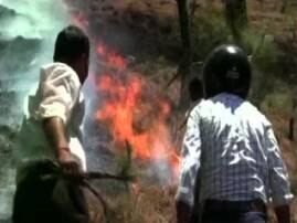 Major Forest Fire In Jammu Uttarakhand এবার দাবানলের প্রকোপে বৈষ্ণোদেবীর ত্রিকূট পর্বত