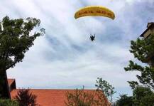 প্যারস্যুটে উড়ে এসে প্রেমের প্রস্তাব ধাক্কা গেল গাছে!