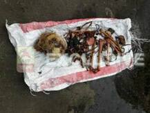 সল্টলেকে নির্মীয়মাণ বহুতলের ছাদে জলের ট্যাঙ্ক থেকে উদ্ধার কঙ্কাল