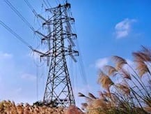 স্ত্রীকে খুঁজে দেওয়ার দাবিতে পাঁচ ঘণ্টা হাই টেনশন টাওয়ারের মাথায়, গ্রেফতার