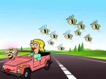 ‘রানি’ কে উদ্ধার করতে ২৪ ঘণ্টা গাড়ির পিছনে ধাওয়া মৌমাছিদের