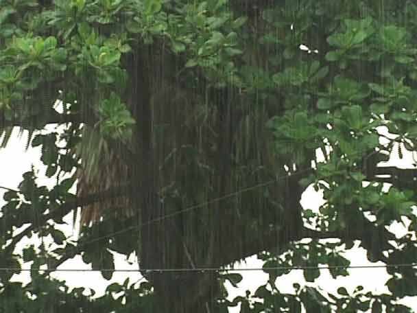 ভ্যাপসা গরম থেকে প্রবল বৃষ্টি খানিক স্বস্তি দিল শহরবাসীকে
