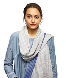 বিয়ে করছেন সোনাক্ষী সিংহ? কী বলছেন অভিনেত্রী