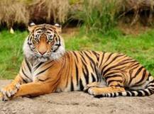 আন্তর্জাতিক পরিবেশ দিবস-এ এবারের থিম কী জানেন?