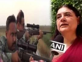 বিহারে ভাড়াটে শিকারি দিয়ে নীলগাই হত্যা, কেন্দ্রীয় পরিবেশমন্ত্রককে তোপ মানেকার Maneka Slams Environment Ministry Says Cant Understand Their Lust For Killing Animals বিহারে ভাড়াটে শিকারি দিয়ে নীলগাই হত্যা, কেন্দ্রীয় পরিবেশমন্ত্রককে তোপ মানেকার