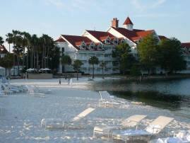 Alligator Grabs Toddler Drags Him Into Lagoon At Disney Hotel ডিজনি রিসর্টে অঘটন, বাবা-মা’র সামনেই ২ বছরের ছেলেকে টেনে ঝিলে নিয়ে গেল কুমীর