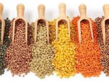 ডালের দাম ঊর্ধ্বমুখী, নিয়ন্ত্রণে আমদানির ভাবনা কেন্দ্রের