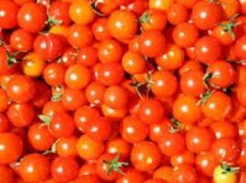 Man Steals 2600 Kg Tomatoes Held ২৬০০ কেজি টম্যাটো চুরি! গ্রেফতার যুবক