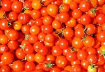 ৯০০ কেজি টম্যাটো ‘চুরি’, গ্রেফতার ১