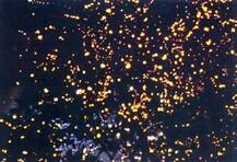 জোনাকী উৎসব