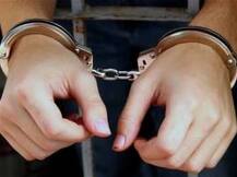 আমেরিকায় ডিজনি ওয়াটার পার্কে ৬ নাবালিকাকে হেনস্থার অভিযোগ, গ্রেফতার ভারতীয়