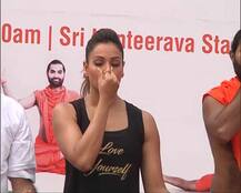 বলিউড সেলেবদের যোগ দিবস পালন