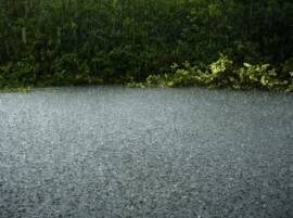 Rain To Continue Today আজও চলবে বৃষ্টি, জানাল আবহাওয়া দফতর