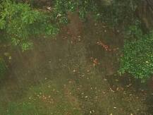 দক্ষিণবঙ্গে আগামী ৪৮ ঘন্টা বৃষ্টি চলবে, পূর্বাভাস আবহাওয়া দফতরের