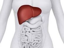 কলকাতার পর অঙ্গদানের নজির কেরলে, ব্রেন ডেথ রোগীর লিভারে প্রাণ পেলেন অন্যজন