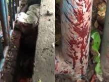 হাওড়ায় স্টোনম্যান কায়দায় খুন, উদ্ধার যুবকের ক্ষতবিক্ষত দেহ