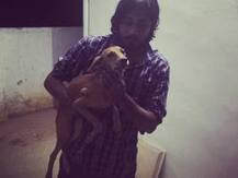 তিনতলার ছাদ থেকে ফেলার পরেও প্রাণে বেঁচে গেল নৃশংসতার শিকার হওয়া সারমেয়