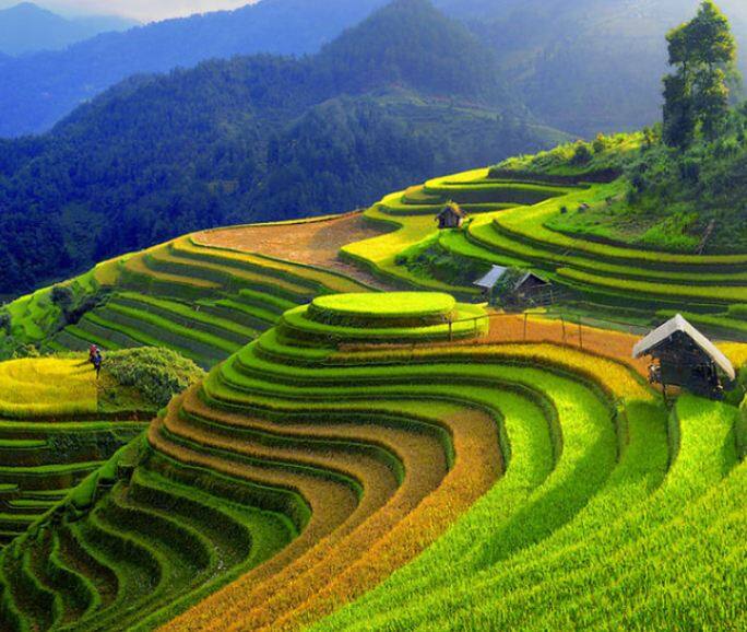 ভিয়েতনাম: এই দেশেও ঘোরাফেরা, খাওয়া-দাওয়া, থাকা খুব স্বচ্ছন্দেই করতে পারেন। এখানকার মুদ্রা ডং। ৩৩৮.৩৫ ডং ১ টাকার সমতুল। 