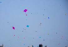 ঘুড়ির সুতোয় গলা কেটে মৃত্যু মহিলার