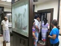 সল্টলেকে দুঃসাহসি ডাকাতি, টাকা-গয়না সহ কুড়ি লক্ষ টাকার জিনিস লুঠ