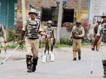 চাপে পড়েই বুরহানকে শহীদ তকমা পাকিস্তানের, বললেন প্রাক্তন বিদেশ সচিব