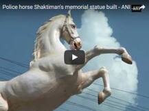 কেন ঘোড়ার স্ট্যাচু! সরল সেই শক্তিমানের মূর্তি