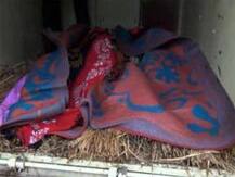 বিবাহবহির্ভূত সম্পর্কের জের, মুর্শিদাবাদের সালারে খুন মা ও মেয়ে