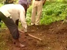 গুনতে পারেনি! মুখে পেঁয়াজ ঢুকিয়ে শাস্তি বাবার, গলায় আটকে মৃত্যু শিশুর