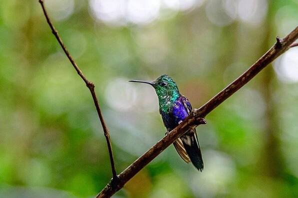 একঝলকে দেখুন সেইসমস্ত অনবদ্য ছবিগুলো